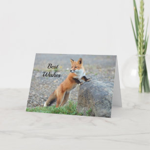 Stående Red Fox Grattis Bröllop Kort