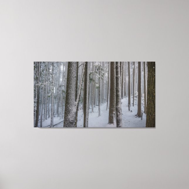 Stående tall #2 canvastryck (Framsida)