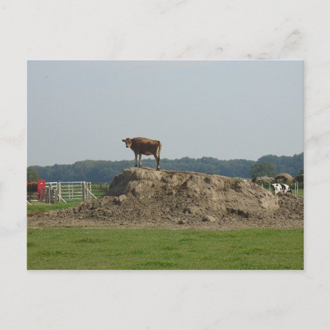 Stående vykort för söt (Framsida)