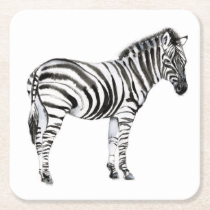 Stående Zebra Underlägg Papper Kvadrat