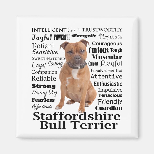 Staffie Traits Magnet (Framsidan)