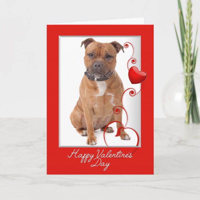 Staffie Valentines dagskort Kort (Framsida)