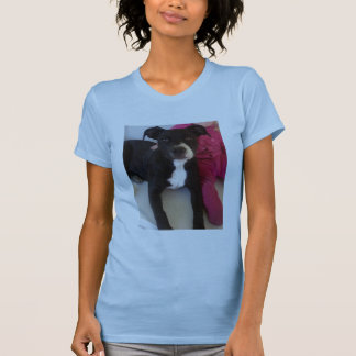 STAFFIES ÄR INTE FARLIGA T-SHIRT