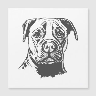 Stafford Bull Terrier