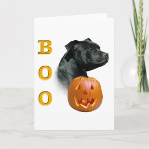 Stafford Bull Terrier Boo Kort