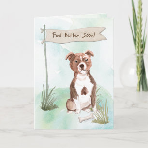 Stafford Bull Terrier Feel Bättre mot Hund Kort