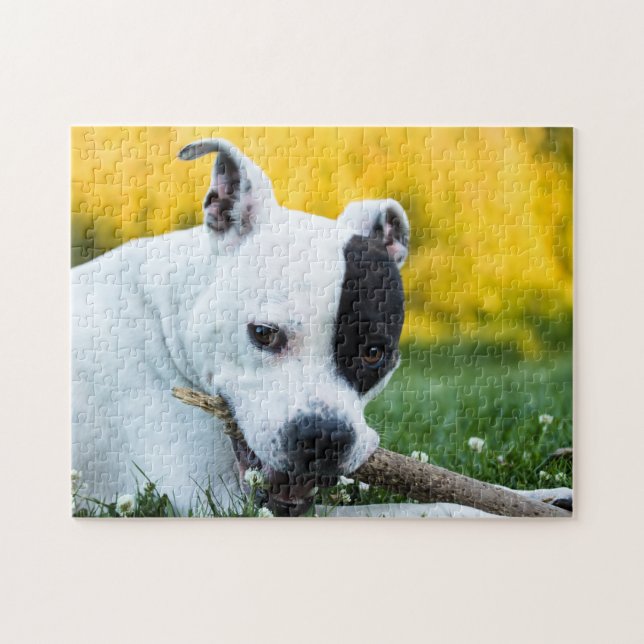 Stafford Bull Terrier Hund Jigszle Puzzle Pussel (Horisontell)