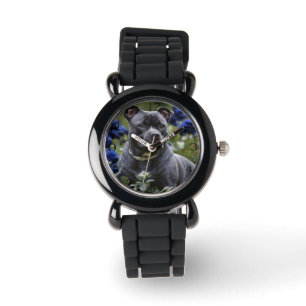 Stafford Bull Terrier in Blue Ro Garden Armbandsur