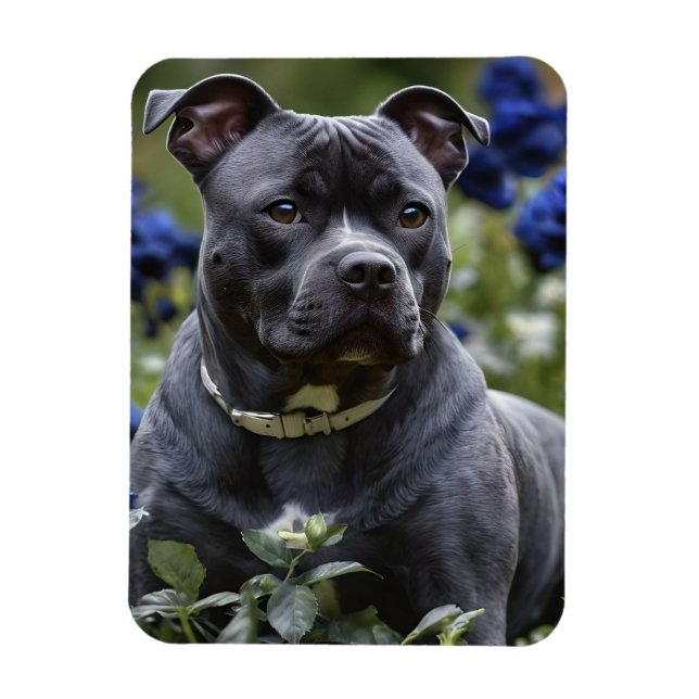 Stafford Bull Terrier in Blue Ro Garden Magnet (Vertikal)