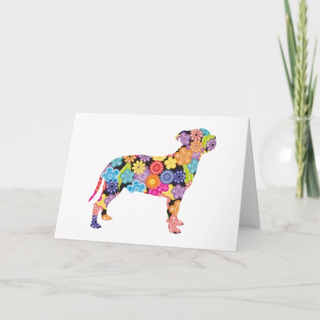 Stafford Bull Terrier Kort (Framsida)