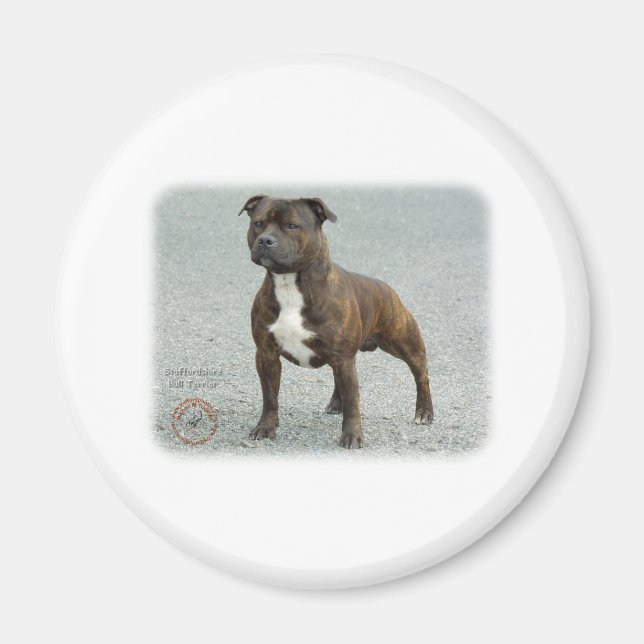 Stafford Bull Terrier Magnet (Framsidan)