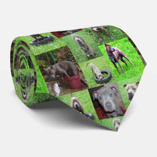Stafford Bull Terrier Photo Collage Slips