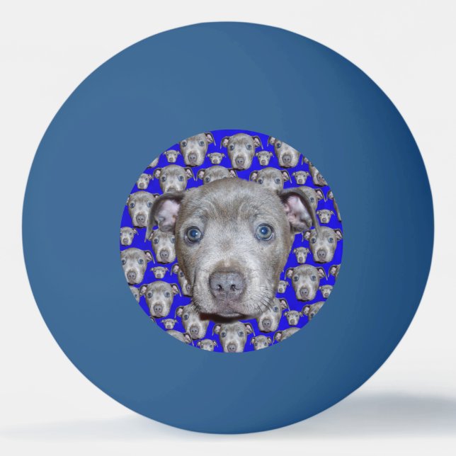 Stafford Bull Terrier Puppy Pingisboll (Framsidan)