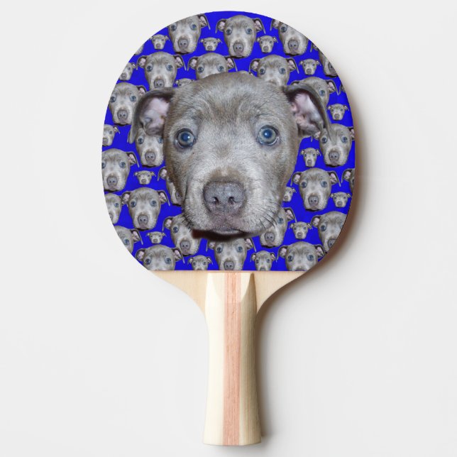 Stafford Bull Terrier Puppy Pingisracket (Framsidan)