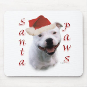 Stafford Bull Terrier Santa Tassar Musmatta