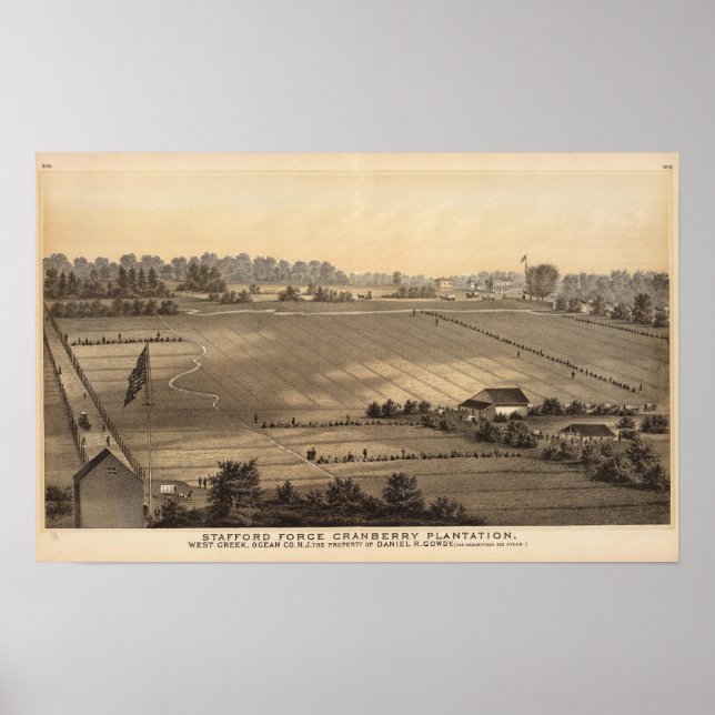Stafford Forge Cranberry Plantation, Bäck Poster (Framsidan)