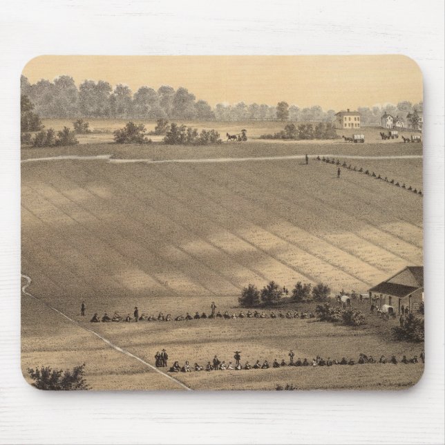 Stafford Forge Cranberry Plantation, Väster Musmatta (Framsidan)