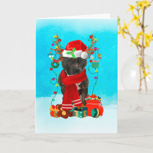 Staffordshire Bull Terrier i snö med jul Kort
