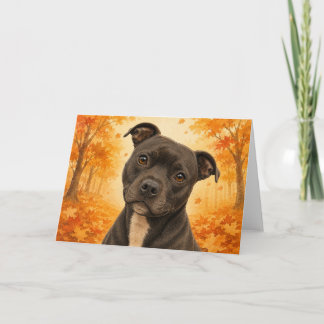 Staffordshire Bull Terrier-kort Kort