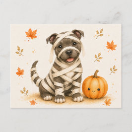 Staffordshire Bull Terrier-mumie Halloween Vykort