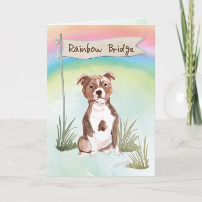 Staffordshire Bull Terrier Pet Sympathy Rainbow Kort (Framsida)