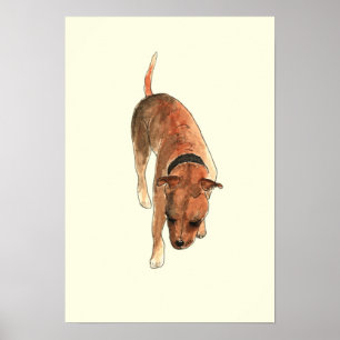 Staffordshire Bull Terrier Rolig Vattenfärg Hund K Poster
