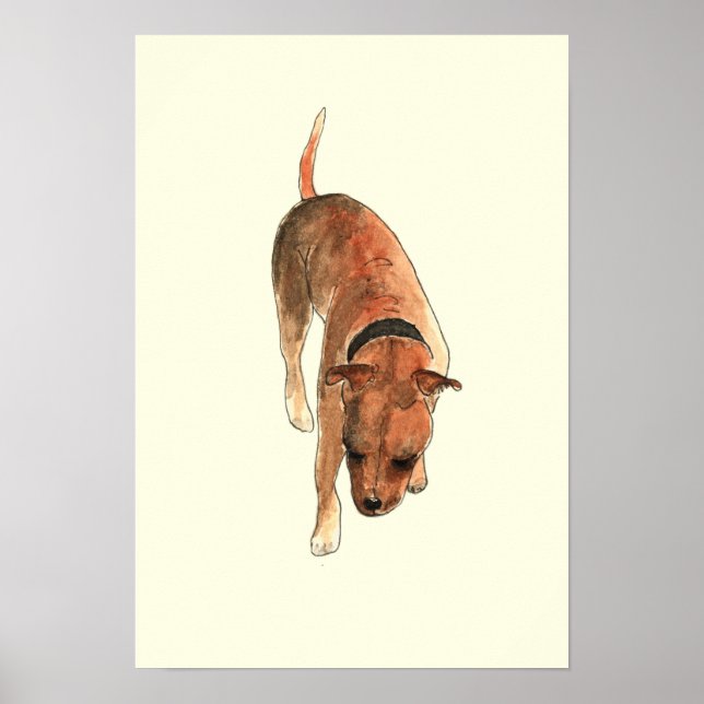 Staffordshire Bull Terrier Rolig Vattenfärg Hund K Poster (Framsidan)