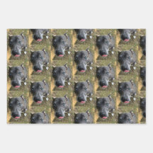 Staffordshire Bull Terrier Wrapping Papprare