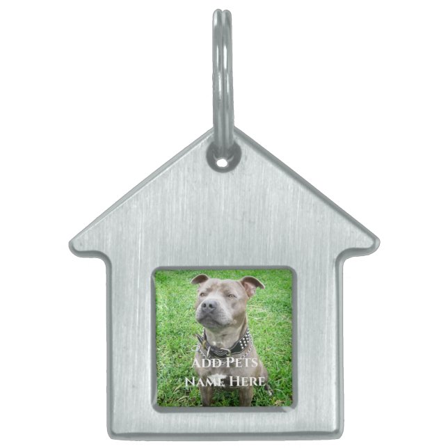 Staffordshire Bullterrier i uppmärksamhet,  ID-bricka Husdjur (Framsidan)