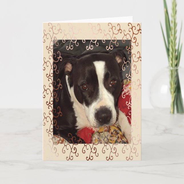 Staffordshire Terrier Blank Kort (Framsida)