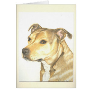 Staffordshire tjurTerrier Hälsningskort