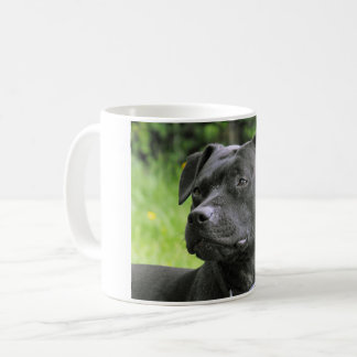 Staffordshire tjurTerrier Kaffemugg
