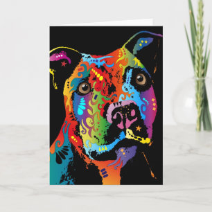 Staffordshire tjurTerrier Kort