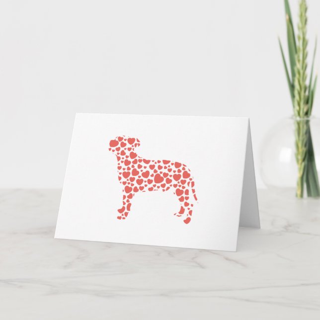 Staffordshire tjurTerrier Kort (Framsida)