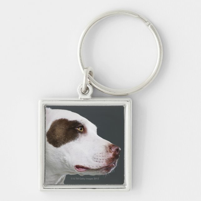Staffordshire tjurterrier, närbild fyrkantig silverfärgad nyckelring (Framsidan)