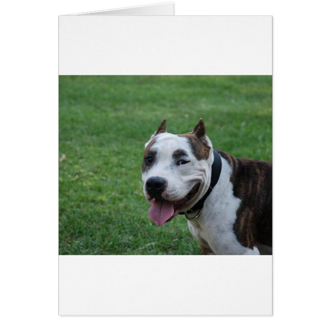 staffy 4.png hälsningskort (Framsidan)