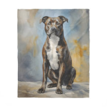 Staffy hund Porträtt