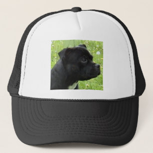 staffy.png keps