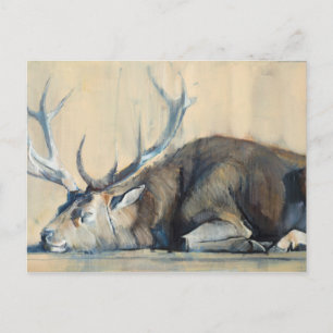 Stag 2014 vykort