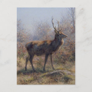Stag av Rosa Bonheur Vykort