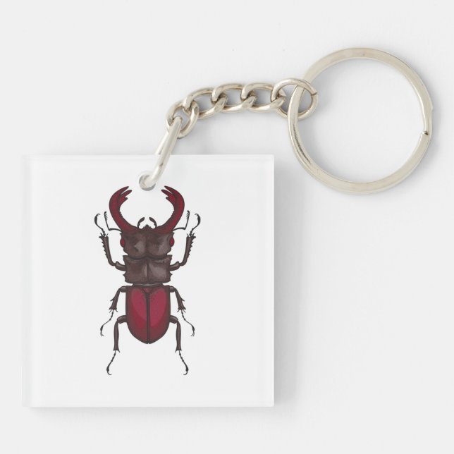 Stag beetle (Baksidan)