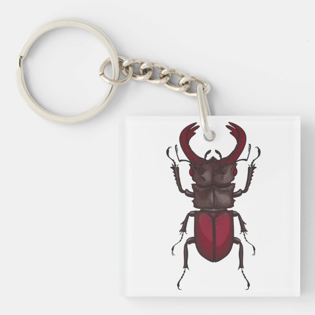 Stag beetle (Framsidan)