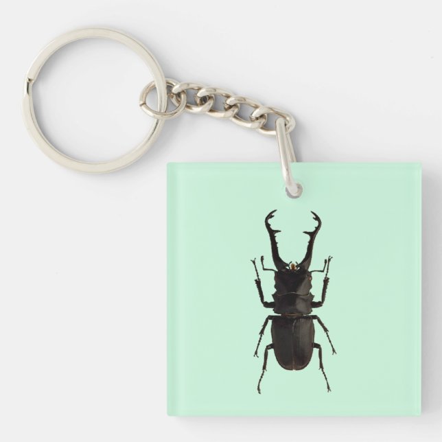 Stag Beetle (Framsidan)