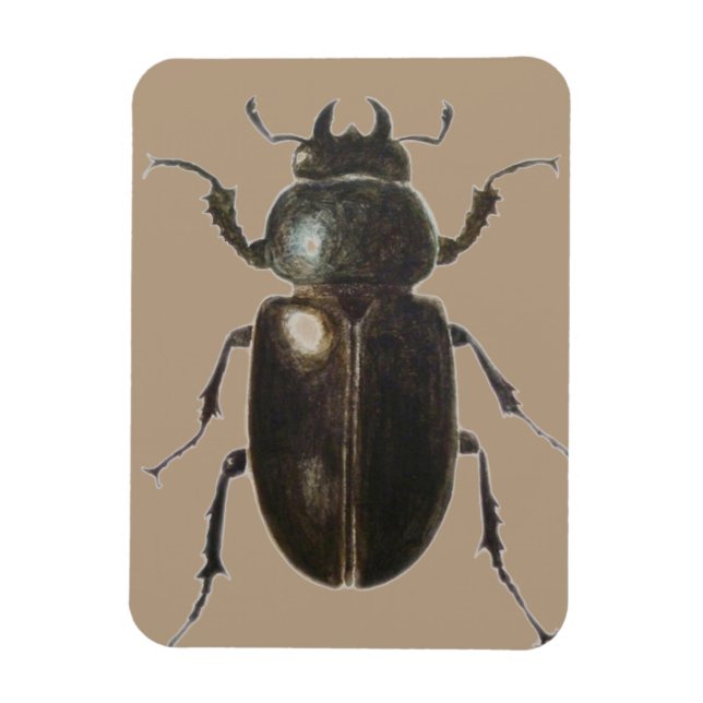 Stag Beetle 2011 Magnet (Vertikal)