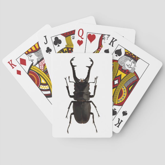 Stag Beetle Casinokort (Baksidan)