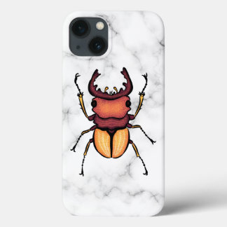 Stag Beetle Insekt Art Entomologi