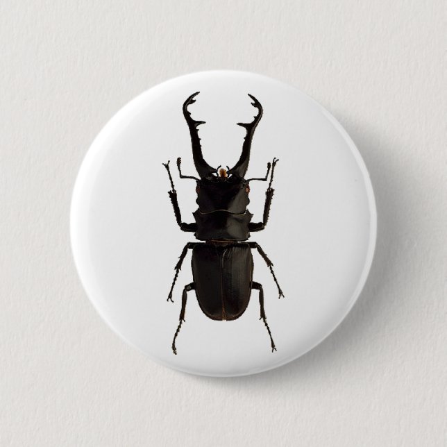 Stag Beetle Knapp (Framsida)