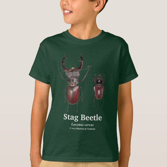 Stag Beetle,Lucanus cervus Tee (Framsida)