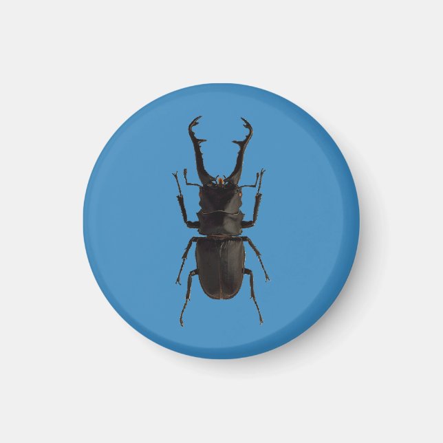 Stag Beetle Magnet (Framsidan)