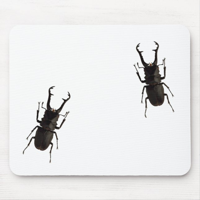 Stag Beetle Musmatta (Framsidan)